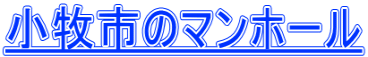 小牧市のマンホール