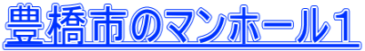 豊橋市のマンホール１