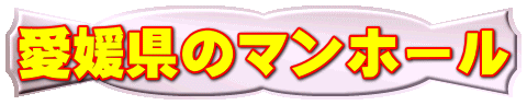 愛媛県のマンホール 