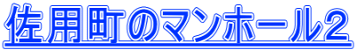 佐用町のマンホール２