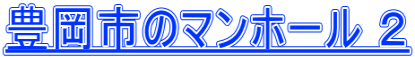 豊岡市のマンホール ２