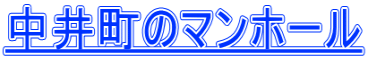 中井町のマンホール