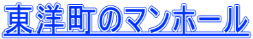 東洋町のマンホール