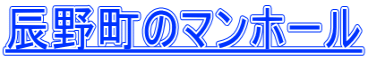 辰野町のマンホール