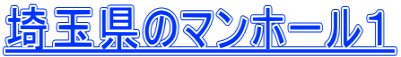 埼玉県のマンホール１