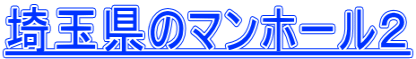 埼玉県のマンホール２