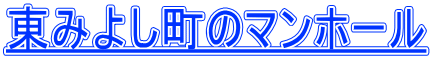 東みよし町のマンホール