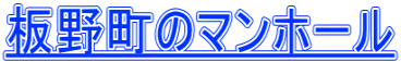 板野町のマンホール